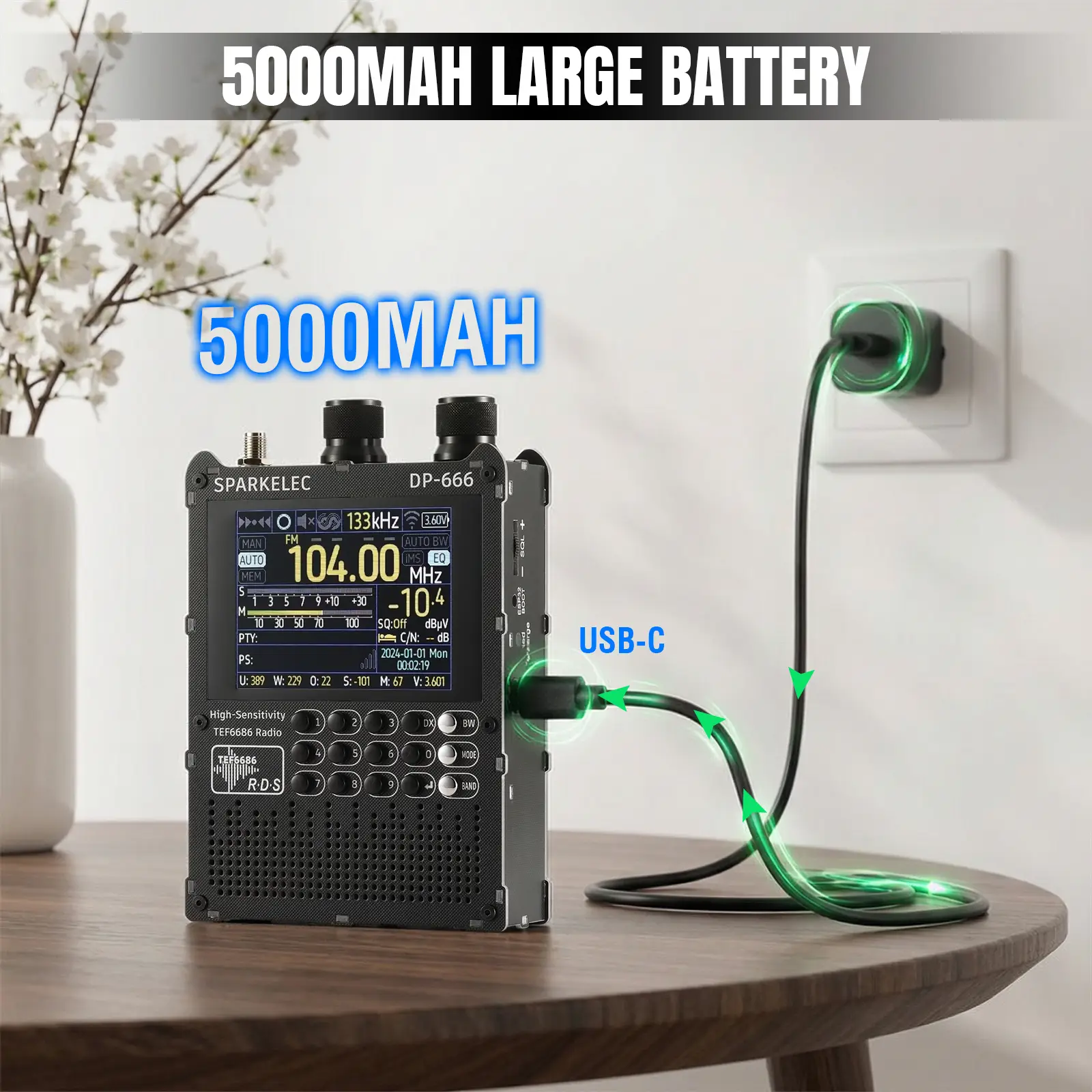 DP-666 Full Band DSP Radio - Image 5